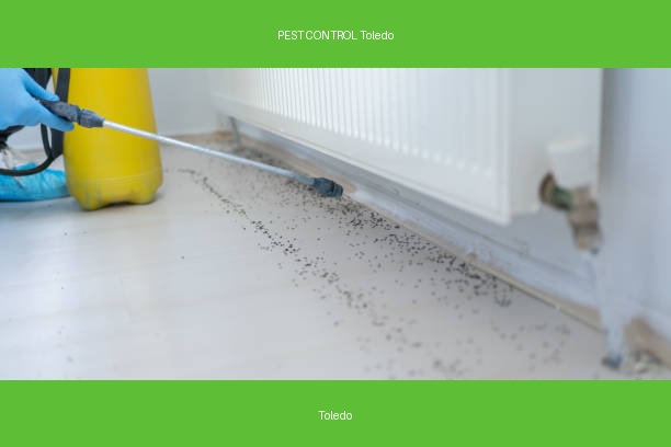 PEST CONTROL Toledo